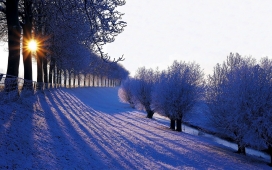 高清晰冬季雪景路壁纸下载