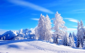 高清晰2015最美蓝白冬季雪景自然桌面壁纸下载