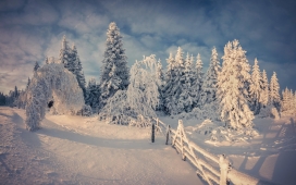 高清晰森林大雪美景壁纸