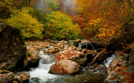秋季的亚美尼亚森林岩石溪流壁纸