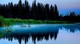 云雾缭绕的湖泊和黑暗森林