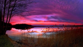 惊人的紫色夕阳