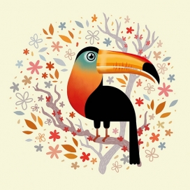 Birds鸟类动物插画