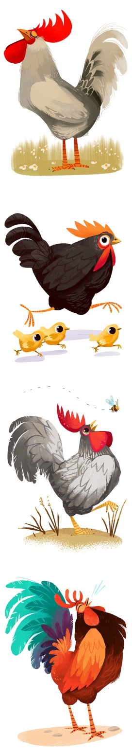 Chickens!公鸡母鸡动物插画