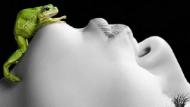 青蛙之吻