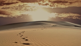 烈日下的印度贾沙梅尔沙漠脚印