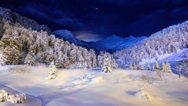 令人惊叹的雪树木蓝色之夜