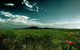 蓝天白云下的田间绿草红野花壁纸