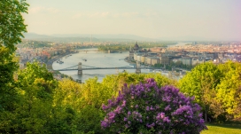 布达佩斯城堡花桥壁纸