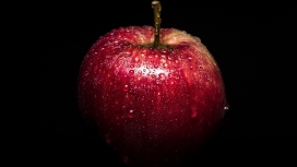 高清晰带水珠的红色苹果水果壁纸