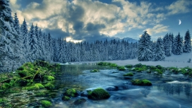 冬季雪树湖美景