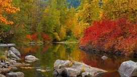 秋天的树木岩石湖