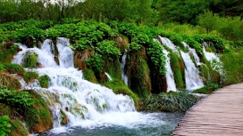 高清晰森林绿色瀑布群河流壁纸
