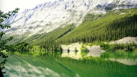 高清晰雪山绿林湖壁纸