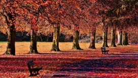 红瓦绿树长凳公园路