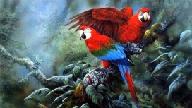 高清晰红色水彩鹦鹉鸟壁纸