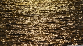 高清晰金色海水壁纸