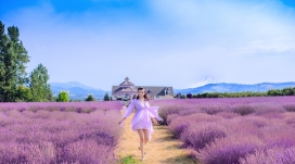 奔跑在紫色薰衣草中的女孩
