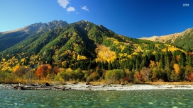 优美的秋山河