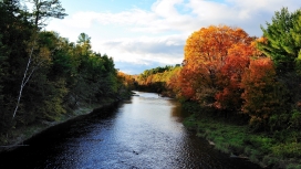 美妙的秋天树河