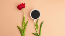 创意花瓣咖啡