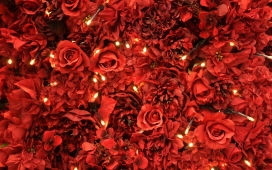 高清晰烛光红玫瑰壁纸