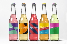 丹麦Nielsen-彩色的苏打汽水包装设计