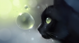 高清晰玩水泡的黑猫