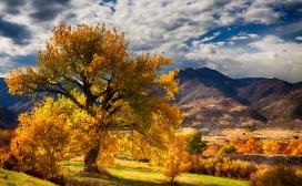 高清晰美丽的秋季美景壁纸