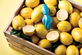 帮你把它变成柠檬水-OCTO Citrus Reamer柑橘铰刀