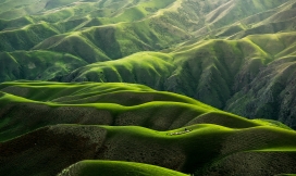 高清晰绿色蜿蜒山丘壁纸