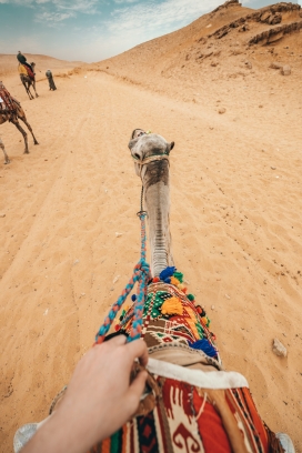 沙漠骑驼人