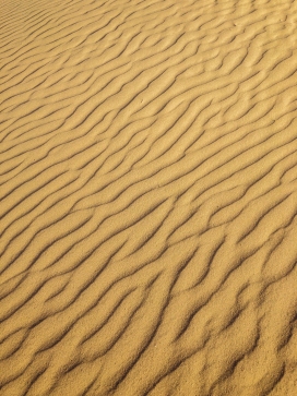 波浪纹金色沙漠