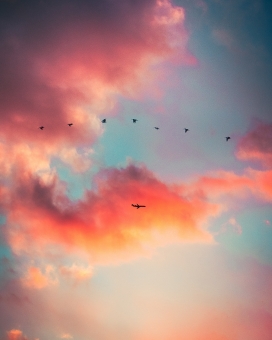 彩云中的鸟与飞机