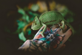纹身手上的绿色变色蜥