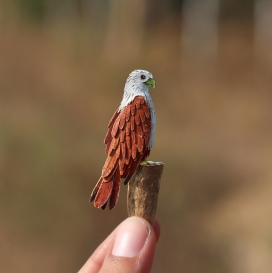 365天的微型剪纸鸟类艺术