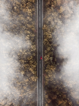 雾气下的森林马路