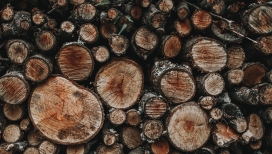 排列整齐被砍伐的木头