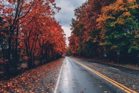 秋季的公路