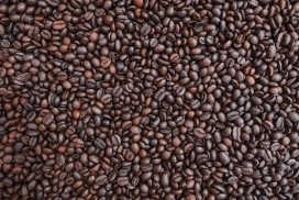咖啡豆颗粒写真
