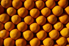 澳洲脐橙水果