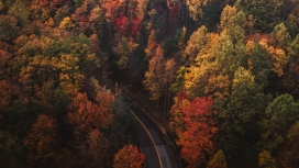 秋季的马路