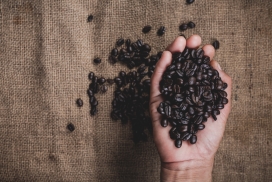 丰收的黑色咖啡豆