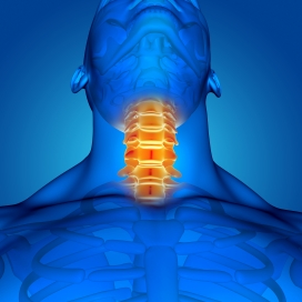 颈部颈椎受伤的人体结构图