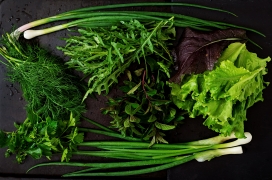 绿色大葱青菜生菜蔬菜