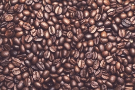 晒干的咖啡豆