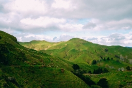 绿色山丘美景图片