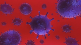 球形冠状细菌病毒特写图片
