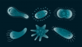 浮游微生物卡通素材