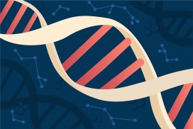 卡通的DNA螺旋素材